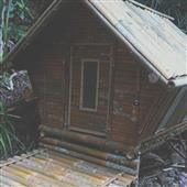 Đả
