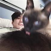 Vỡ