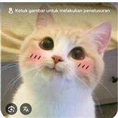 BM