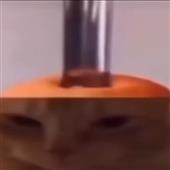 Ga