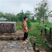 Gi