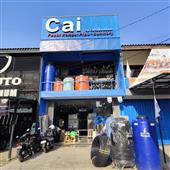 Cá