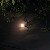 Bả