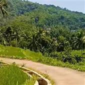 Đạ
