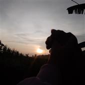 Nằ