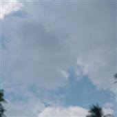 Th