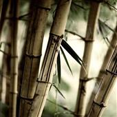 Ứn