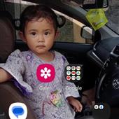 Li