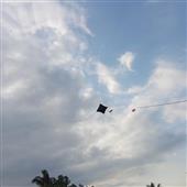 Hợ
