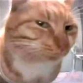 Se