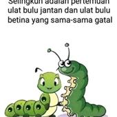 Đị