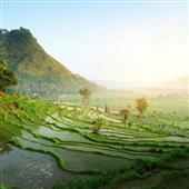 Lễ