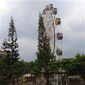 Mô