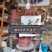 Củ