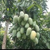 Đạ