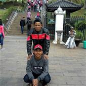 Dự