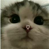 Sò