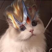 Cr