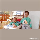 VO