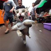 Hộ