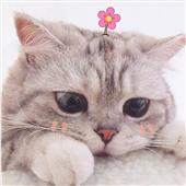 Lễ