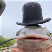 Ca