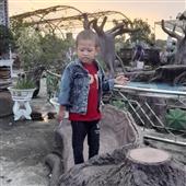 Dự