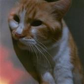 Th