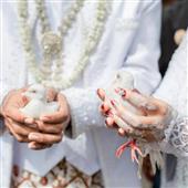 Sứ