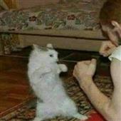 Đạ
