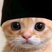 Bả