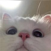 Ma