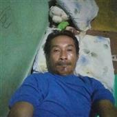 Dự