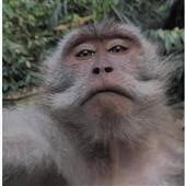 Số