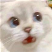 Ng