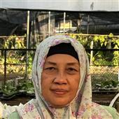 Đấ