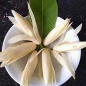 Vậ