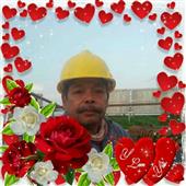 HL