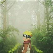 Bo