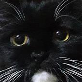 Cơ