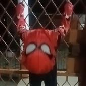 Đê