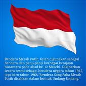 Bu