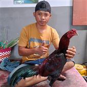 Kh