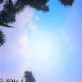 Al