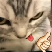 On