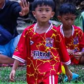 Dự