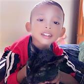 Dự