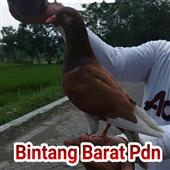 Be