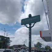 Dự