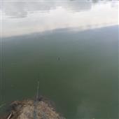Pl